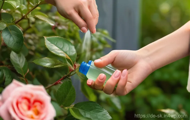 자연적인 해충 퇴치제 만들기 - Image Prompt 1: Natural Aphid Control on Roses**