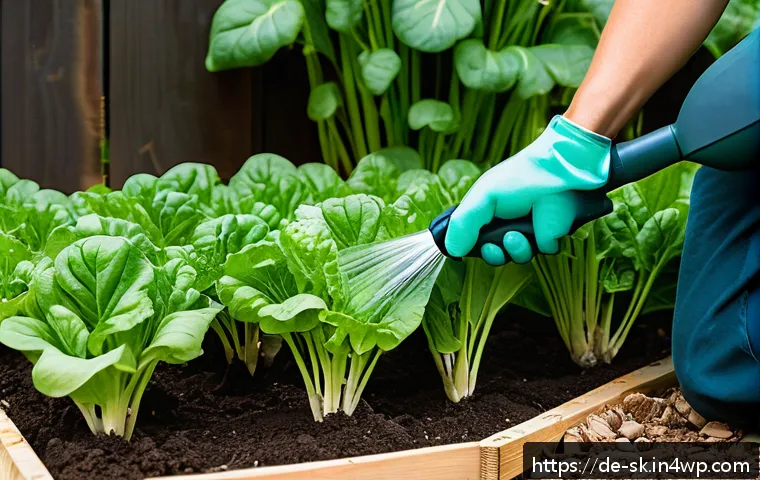 홈가드닝을 위한 전문가 인터뷰 관련 이미지 2