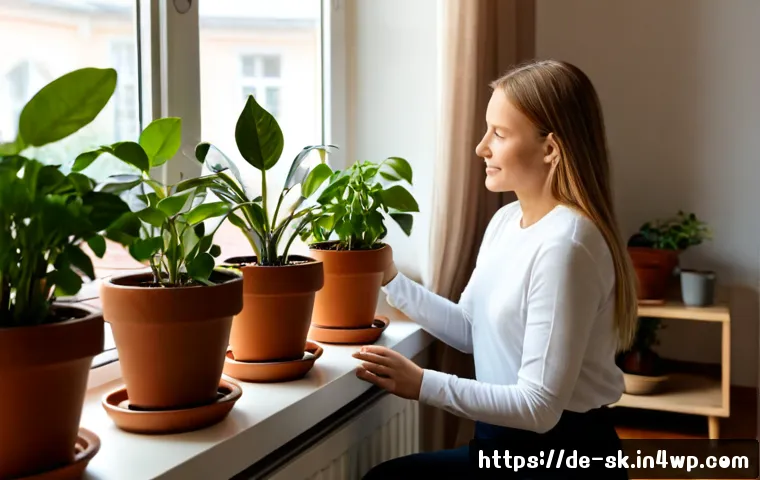 실내 식물 기르기 위한 최적의 팁 - Photorealistic bright German apartment living room in early morning, a healthy collection of easy-ca...